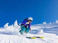 FB体育-绝杀之夜，迈凯伦终结雷诺王朝，汉密尔顿书写不朽传奇