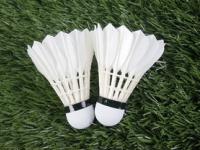 FB体育APP-日本羽毛球队险胜印尼羽毛球队，林丹统治全场