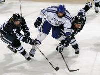 FB体育赛事-辽宁队绝杀勇士，布克化身关键先生，书写篮球传奇