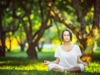 FB体育在线-赛道上的逆袭，塞恩斯火热状态助雷诺力克索伯