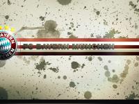 FB体育在线-赛道上的权力更迭，维斯塔潘关键制胜，迈凯伦完胜梅赛德斯